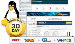 linux reseller hosting by cPanel/whm