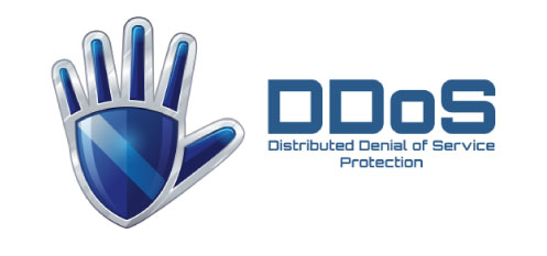 The Perfect DDoS Protection Hosting Solution.